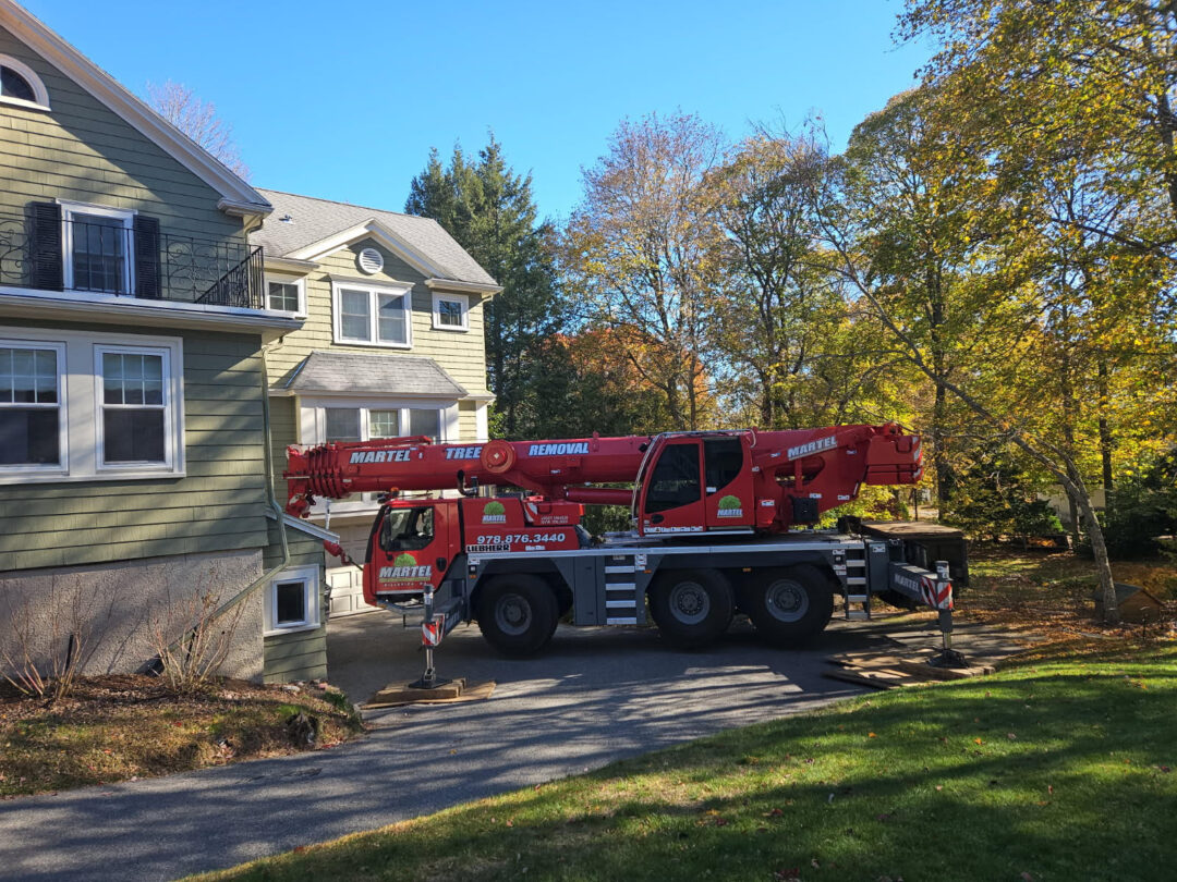 Martel Crane & Tree Service recently completed a tree removal project for a residential client in Winchester, MA. 