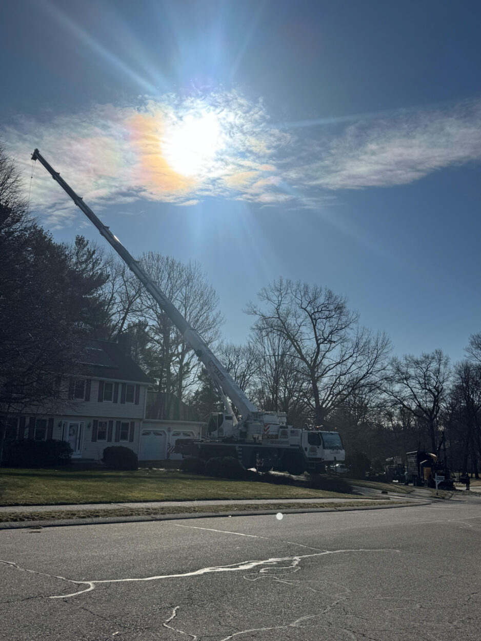 Professional Tree Removal & Crane Service in Billerica, MA