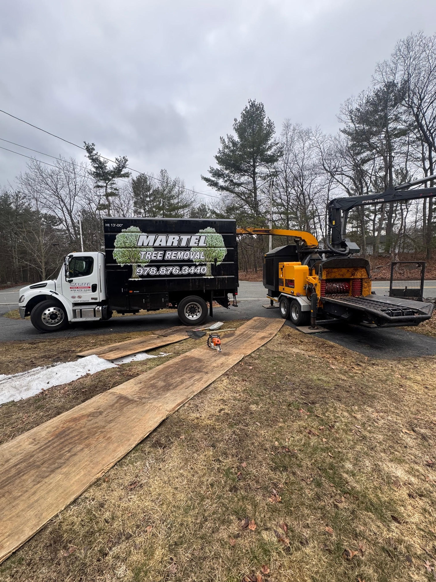 Tree Removal Service in Chelmsford, MA