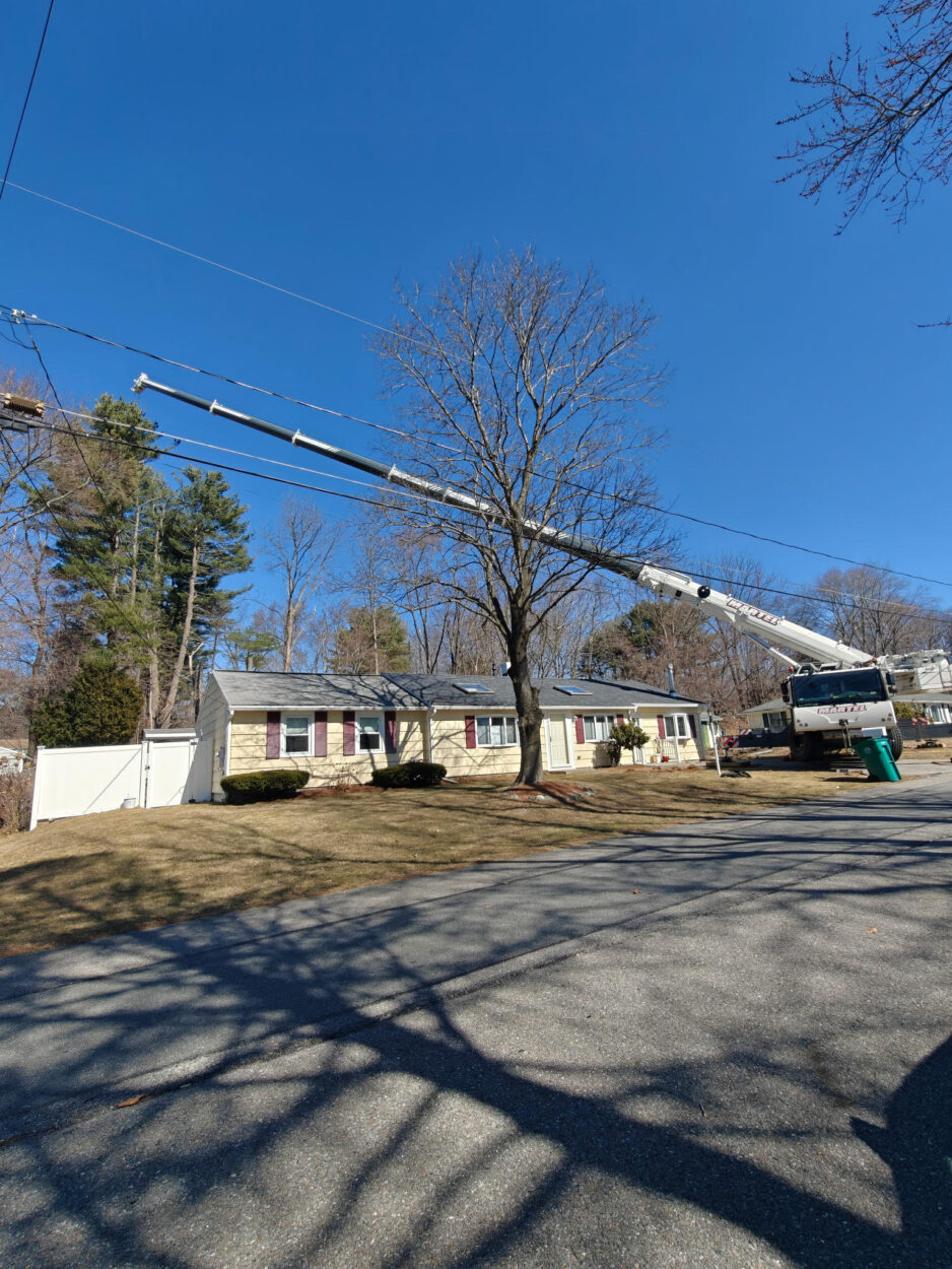 Crane Service and Tree Removal in Billerica, MA