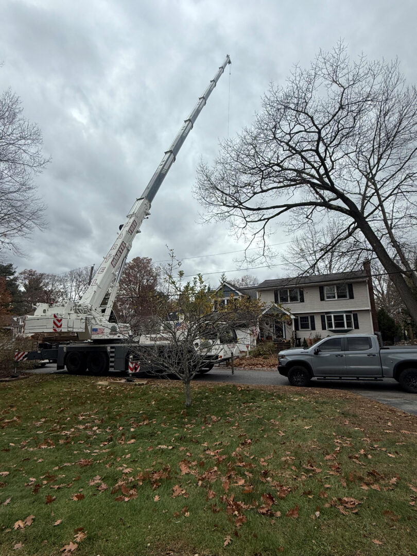 Residential Tree Removal in Billerica, MA