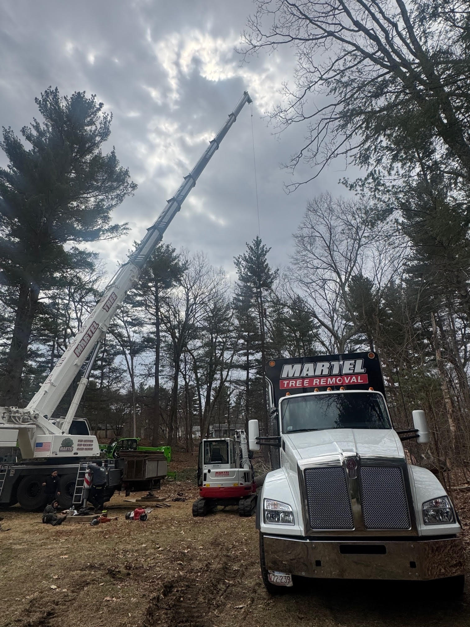 Tree Removal & Crane Service in Chelmsford, MA