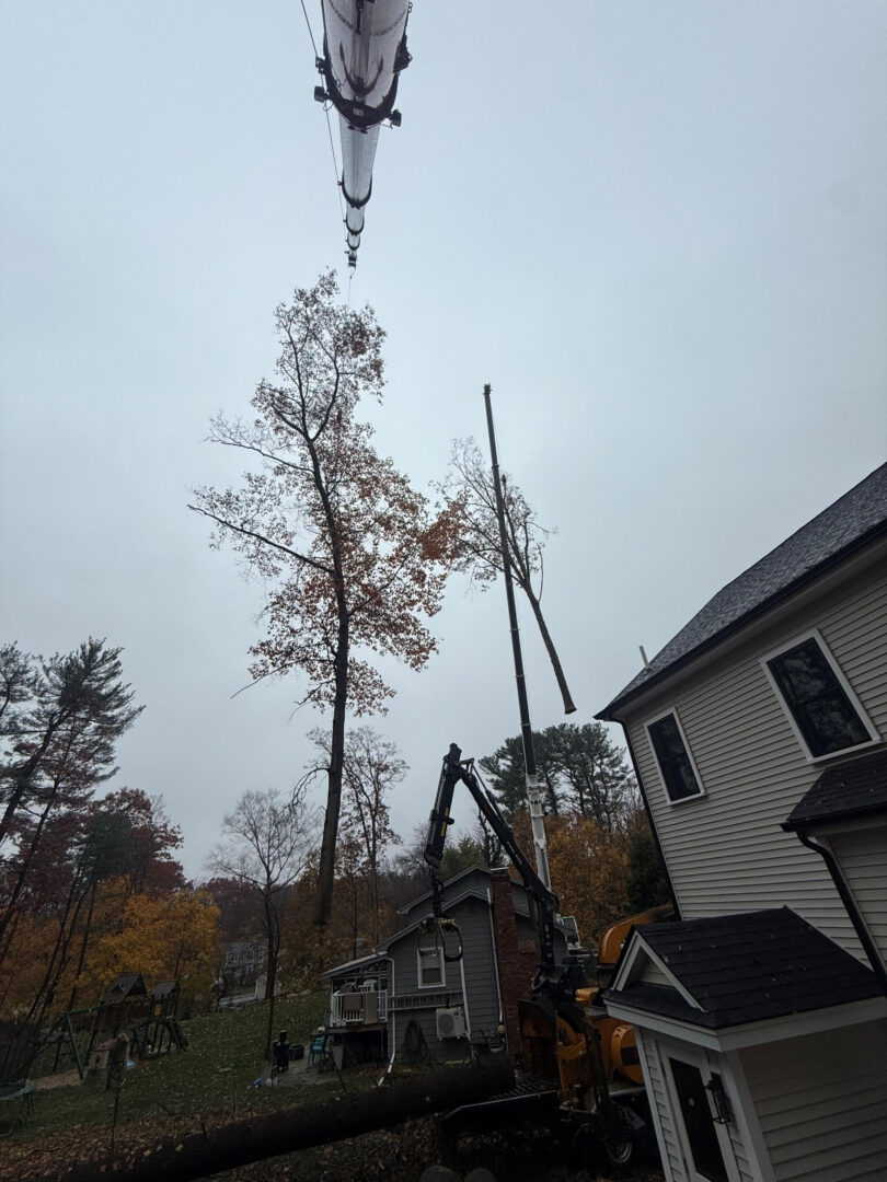 Tree Removal & Crane Service in Burlington, MA