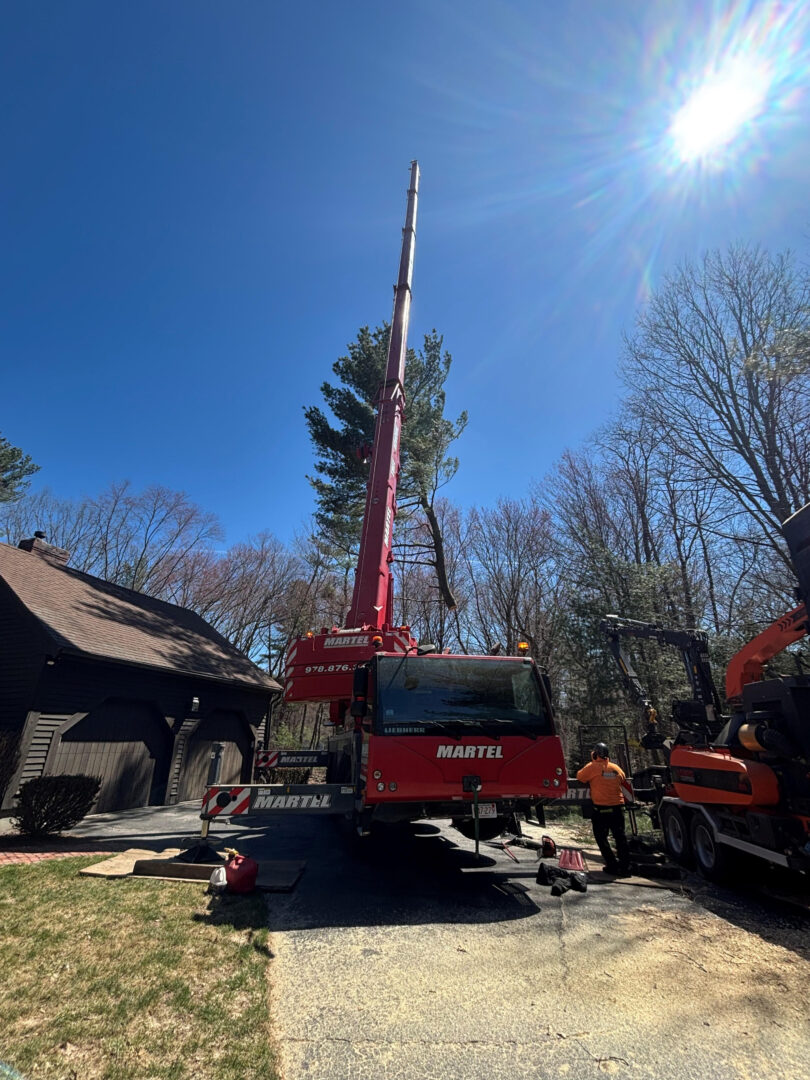 Tree Removal & Crane Service in Westford, MA. 