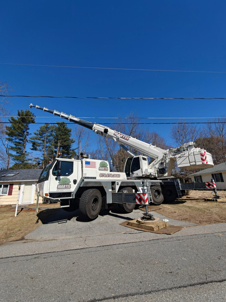 Tree Removal in Billerica, MA