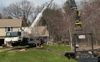 Tree Removal & Crane Service in Westford, MA.