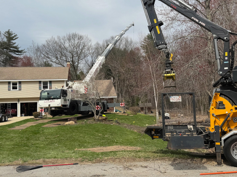 Tree Removal & Crane Service in Westford, MA.