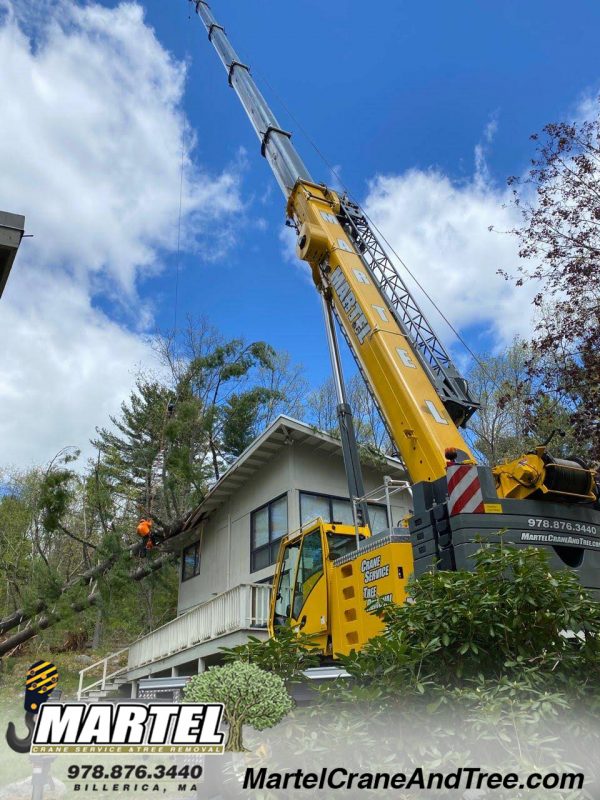Crane tree removal in Westford. Emergency storm damage cleanup.