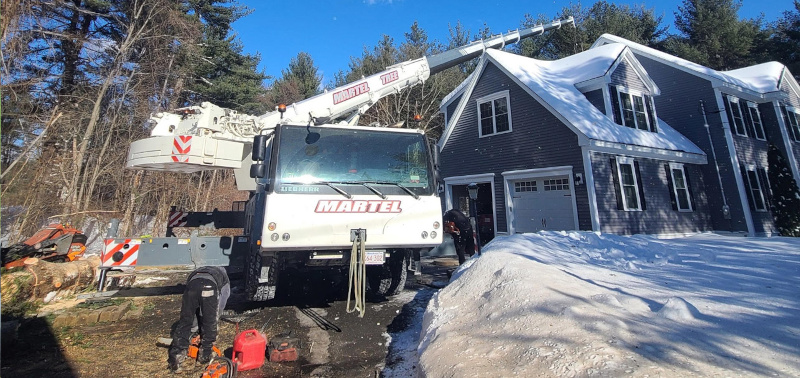 Tree Removal Service in Westford, MA