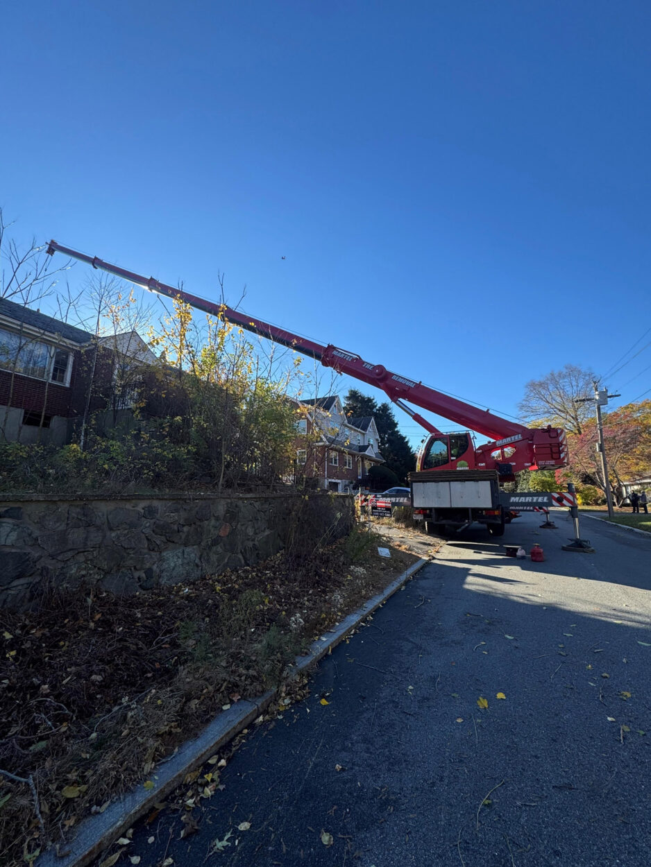 Tree Removal in Winchester, MA